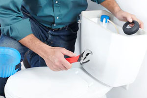 Toilet Repairs Abbots Langley